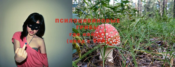 спиды Абдулино