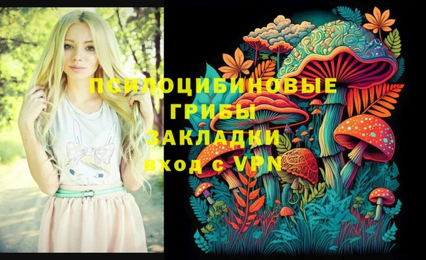 спиды Абдулино